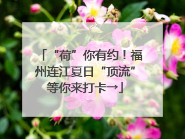 “荷”你有约！福州连江夏日“顶流”等你来打卡→
