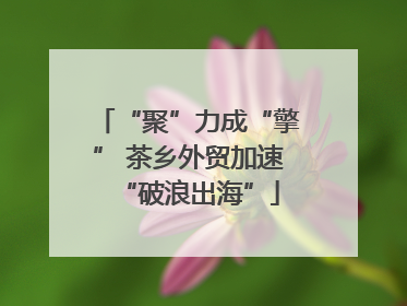 “聚”力成“擎” 茶乡外贸加速“破浪出海”
