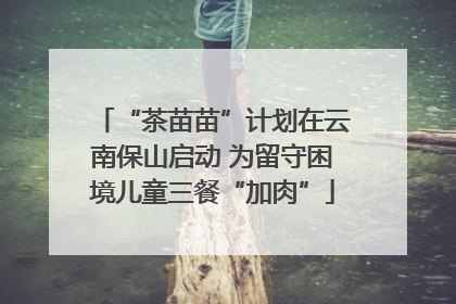 “茶苗苗”计划在云南保山启动 为留守困境儿童三餐“加肉”