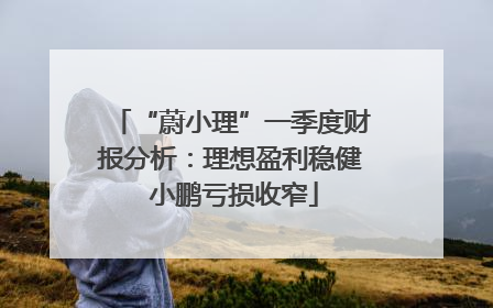 “蔚小理”一季度财报分析：理想盈利稳健 小鹏亏损收窄