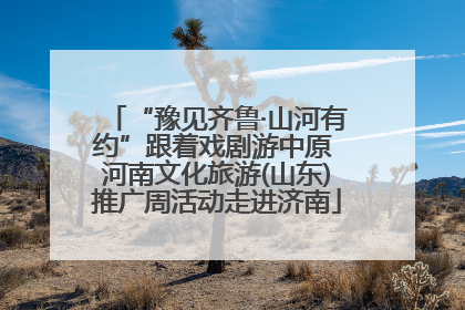 “豫见齐鲁·山河有约”跟着戏剧游中原 河南文化旅游(山东)推广周活动走进济南