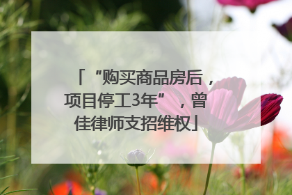 “购买商品房后，项目停工3年”，曾佳律师支招维权