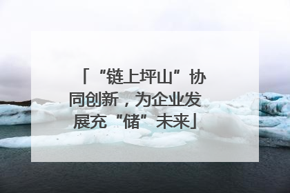 “链上坪山”协同创新，为企业发展充“储”未来
