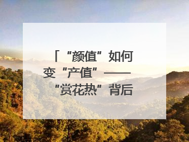 “颜值”如何变“产值”——“赏花热”背后的产业图谱