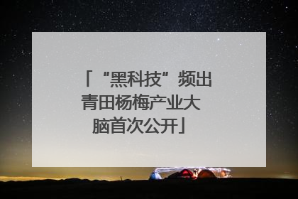 “黑科技”频出 青田杨梅产业大脑首次公开