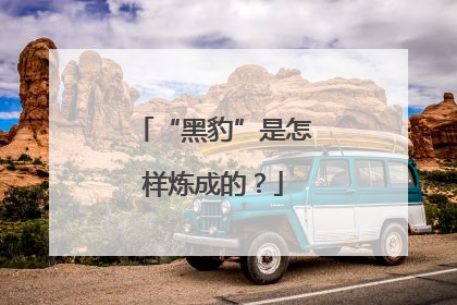 “黑豹”是怎样炼成的？