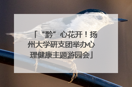 “黔”心花开！扬州大学研支团举办心理健康主题游园会