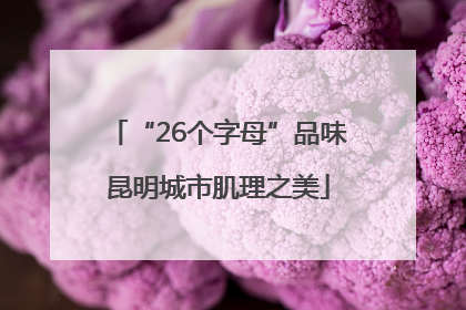 “26个字母”品味昆明城市肌理之美