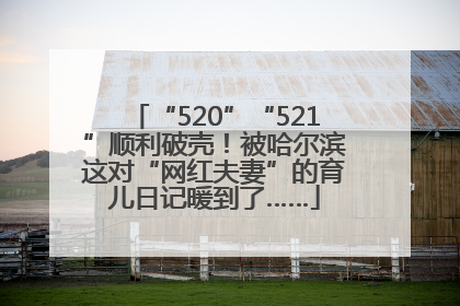 “520”“521”顺利破壳！被哈尔滨这对“网红夫妻”的育儿日记暖到了……
