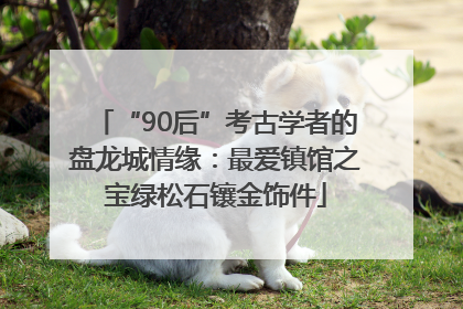 “90后”考古学者的盘龙城情缘：最爱镇馆之宝绿松石镶金饰件