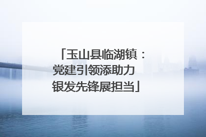 玉山县临湖镇：党建引领添助力 银发先锋展担当