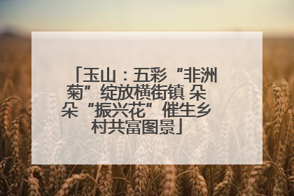 玉山：五彩“非洲菊”绽放横街镇 朵朵“振兴花”催生乡村共富图景