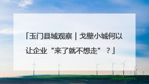 玉门县域观察｜戈壁小城何以让企业“来了就不想走”？