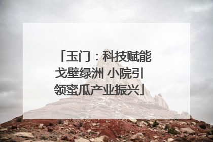 玉门：科技赋能戈壁绿洲 小院引领蜜瓜产业振兴