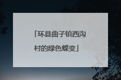 环县曲子镇西沟村的绿色蝶变