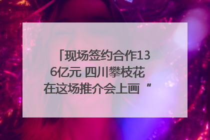 现场签约合作136亿元 四川攀枝花在这场推介会上画“图谱”列“清单”