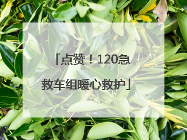 点赞！120急救车组暖心救护