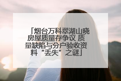 烟台万科翠湖山晓房屋质量存争议 质量缺陷与分户验收资料“丢失”之谜