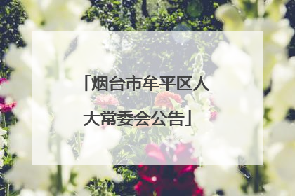 烟台市牟平区人大常委会公告