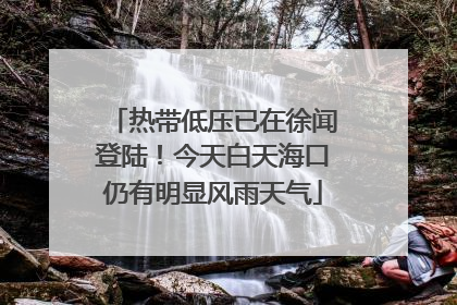 热带低压已在徐闻登陆！今天白天海口仍有明显风雨天气
