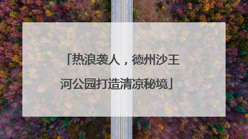 热浪袭人，德州沙王河公园打造清凉秘境