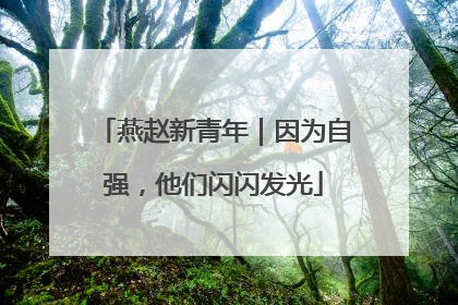 燕赵新青年｜因为自强，他们闪闪发光