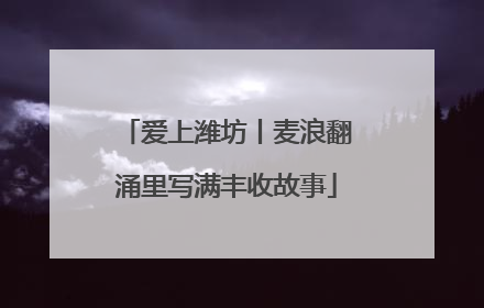 爱上潍坊丨麦浪翻涌里写满丰收故事