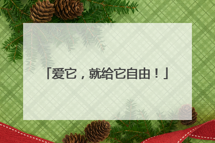 爱它，就给它自由！