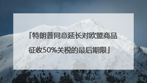 特朗普同意延长对欧盟商品征收50%关税的最后期限