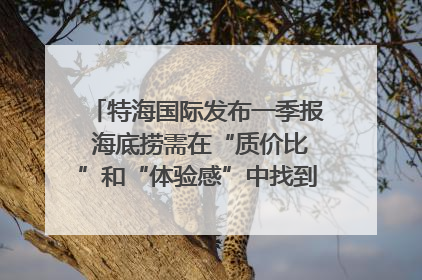 特海国际发布一季报 海底捞需在“质价比”和“体验感”中找到平衡｜新经济观察