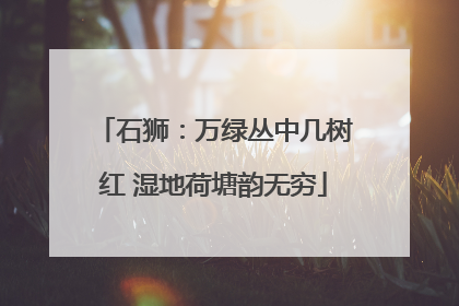 石狮：万绿丛中几树红 湿地荷塘韵无穷