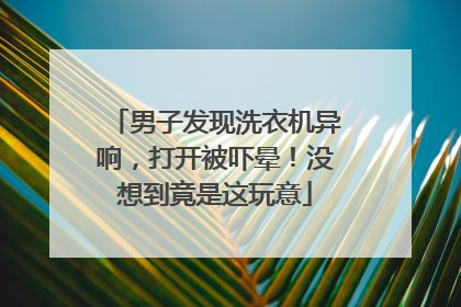 男子发现洗衣机异响，打开被吓晕！没想到竟是这玩意