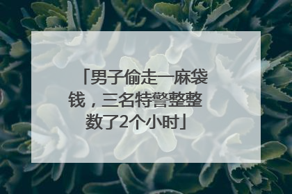 男子偷走一麻袋钱，三名特警整整数了2个小时