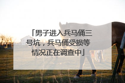 男子进入兵马俑三号坑，兵马俑受损等情况正在调查中