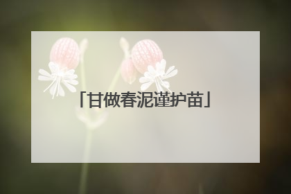 甘做春泥谨护苗