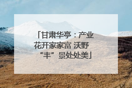 甘肃华亭：产业花开家家富 沃野“丰”景处处美