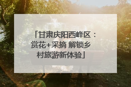 甘肃庆阳西峰区：赏花+采摘 解锁乡村旅游新体验