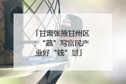 甘肃张掖甘州区：“蔬”写富民产业好“钱”景