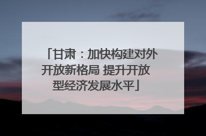 甘肃：加快构建对外开放新格局 提升开放型经济发展水平