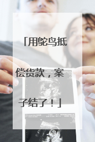 用鸵鸟抵偿货款，案子结了！