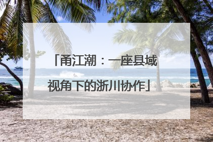甬江潮：一座县域视角下的浙川协作