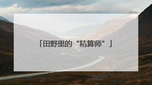 田野里的“精算师”