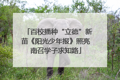 百校播种“立德”新苗《阳光少年报》照亮南召学子求知路