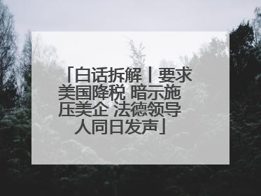 白话拆解丨要求美国降税 暗示施压美企 法德领导人同日发声