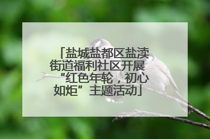 盐城盐都区盐渎街道福利社区开展“红色年轮，初心如炬”主题活动