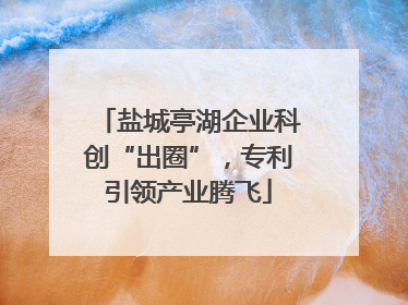 盐城亭湖企业科创“出圈”，专利引领产业腾飞