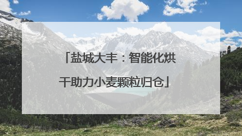 盐城大丰：智能化烘干助力小麦颗粒归仓