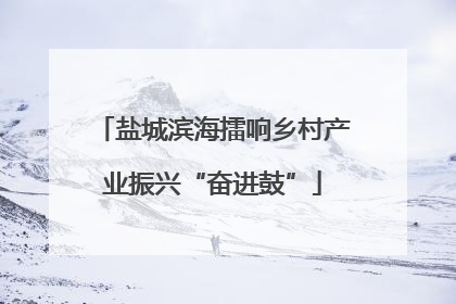 盐城滨海擂响乡村产业振兴“奋进鼓”