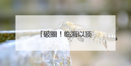 破圈！临海以顶流赛事唤醒千年山水的共富基因