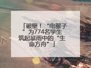 破壁！“电骡子”为774名学生筑起暴雨中的“生命方舟”